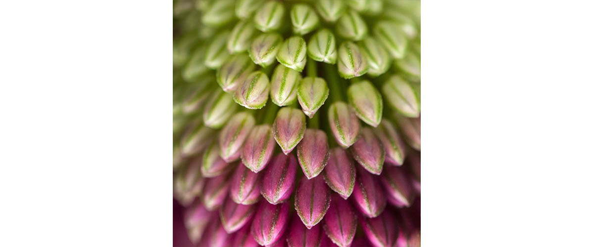 image taken by Lisa Mossel Vietze